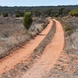 Higgins Cutting Track Turn Off 