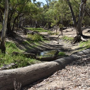 South Australia - New South Wales Murray River Border Marker