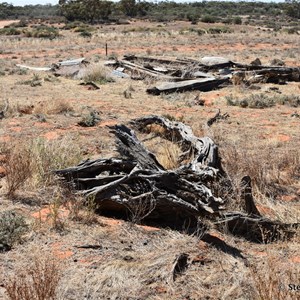 Allen's Plain Hut Ruins