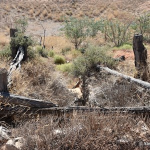 Paradise Tank - Mungo NP