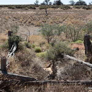 Paradise Tank - Mungo NP