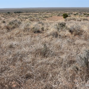 Lake Leaghur Lookout - Mungo NP