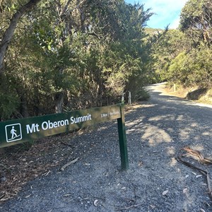 Telegraph Saddle Mt Oberon Trailhead