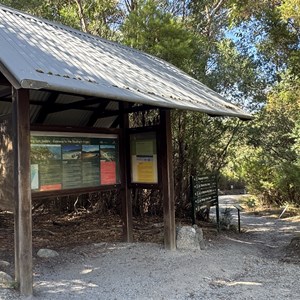 Telegraph Saddle Mt Oberon Trailhead