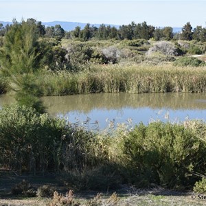 Barker Inlet Wetlands