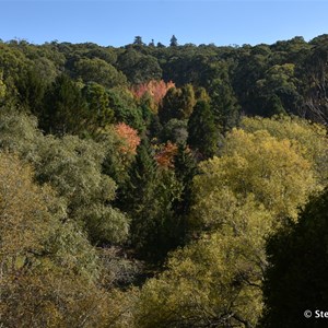 Mt Lofty Botanic Gardens