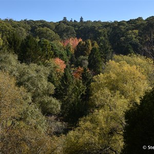 Mt Lofty Botanic Gardens