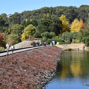 Mt Lofty Botanic Gardens