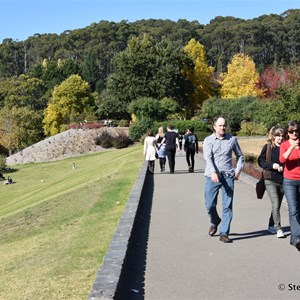 Mt Lofty Botanic Gardens