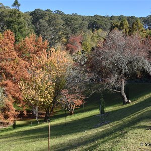 Mt Lofty Botanic Gardens