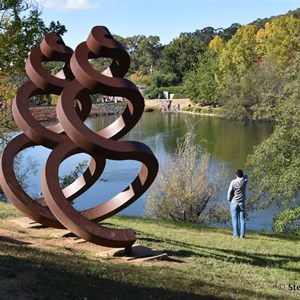 Mt Lofty Botanic Gardens