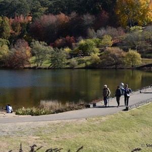 Mt Lofty Botanic Gardens