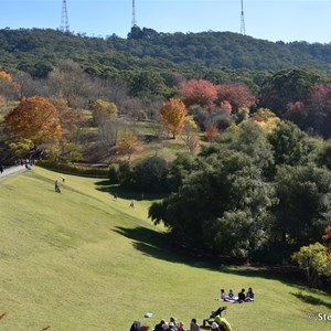 Mt Lofty Botanic Gardens