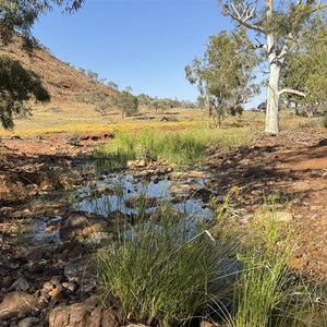 Chaffcutters Spring