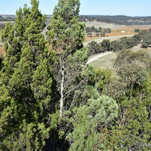 Neagles Rock Lookout