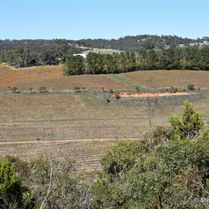 Neagles Rock Lookout