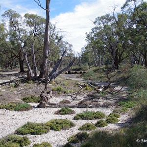 Border Cliffs Customs House Wetland Walk - Stop 1