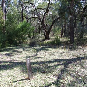 Border Cliffs Customs House Wetland Walk - Stop 2