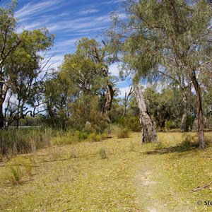 Border Cliffs Customs House Wetland Walk - Stop 3