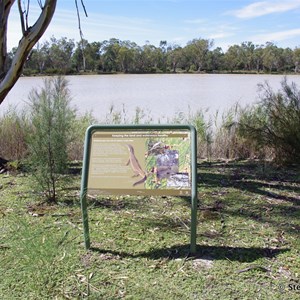 Border Cliffs Customs House Wetland Walk - Stop 4