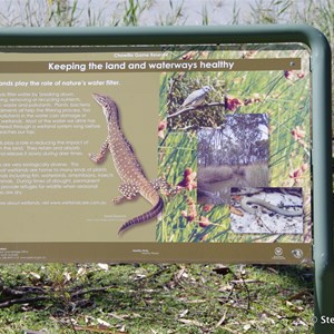 Border Cliffs Customs House Wetland Walk - Stop 4