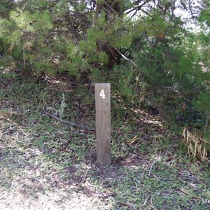 Border Cliffs Customs House Wetland Walk - Stop 4