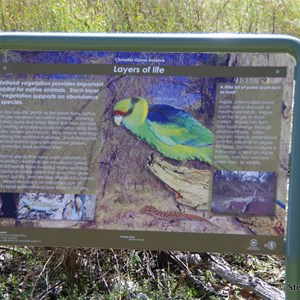 Border Cliffs Customs House Wetland Walk - Layers of Life 