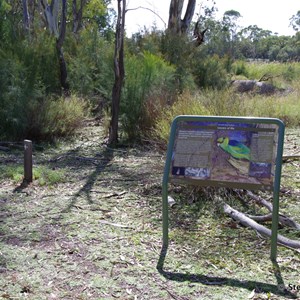 Border Cliffs Customs House Wetland Walk - Layers of Life 