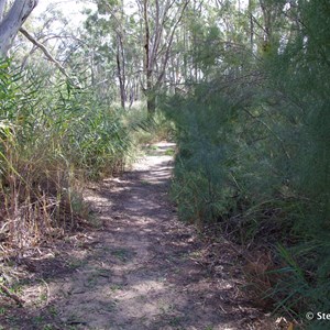 Border Cliffs Customs House Wetland Walk - The Living Lagoon