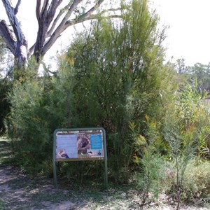 Border Cliffs Customs House Wetland Walk - The Living Lagoon