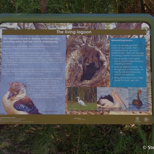 Border Cliffs Customs House Wetland Walk - The Living Lagoon