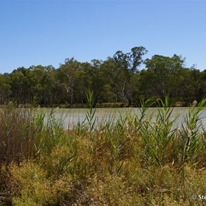 Border Cliffs Customs House Wetland Walk - Stop 5