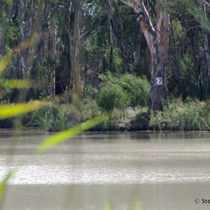 Border Cliffs Customs House Wetland Walk - Stop 5