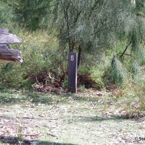 Border Cliffs Customs House Wetland Walk - Stop 5