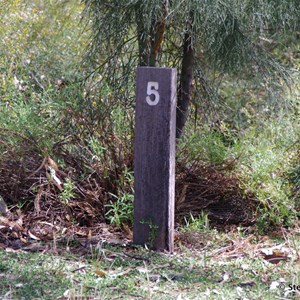 Border Cliffs Customs House Wetland Walk - Stop 5