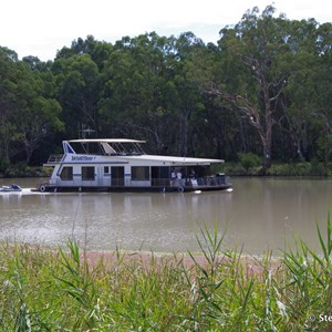 Border Cliffs Customs House Wetland Walk - Stop 5