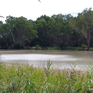 Border Cliffs Customs House Wetland Walk - Stop 5