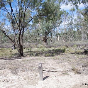 Border Cliffs Customs House Wetland Walk - Stop 6