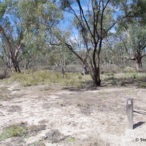 Border Cliffs Customs House Wetland Walk - Stop 6