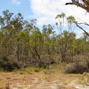 Border Cliffs Customs House Wetland Walk - Stop 6