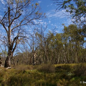 Border Cliffs Customs House Wetland Walk - Stop 6