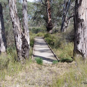 Border Cliffs Customs House Wetland Walk - Wooden Foot Bridge