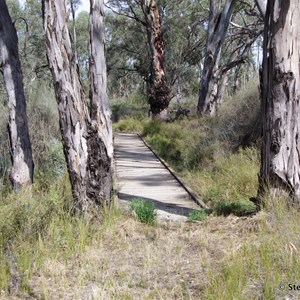 Border Cliffs Customs House Wetland Walk - Wooden Foot Bridge