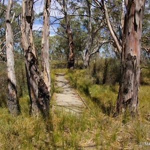 Border Cliffs Customs House Wetland Walk - Wooden Foot Bridge