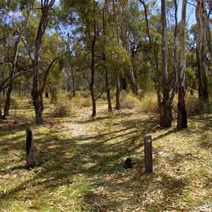 Border Cliffs Customs House Wetland Walk - Stop 7