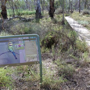 Border Cliffs Customs House Wetland Walk - Stop 7