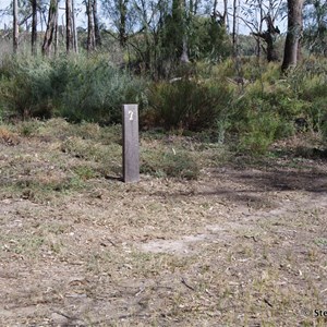 Border Cliffs Customs House Wetland Walk - Stop 7