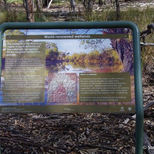 Border Cliffs Customs House Wetland Walk - World Renowned Wetlands