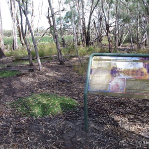 Border Cliffs Customs House Wetland Walk - World Renowned Wetlands