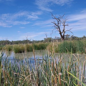 Border Cliffs Customs House Wetland Walk - Lagoon